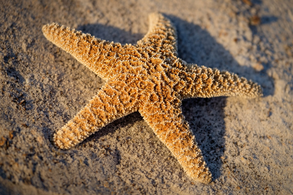 USA_2016_2 330-Bearbeitet